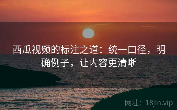 西瓜视频的标注之道：统一口径，明确例子，让内容更清晰