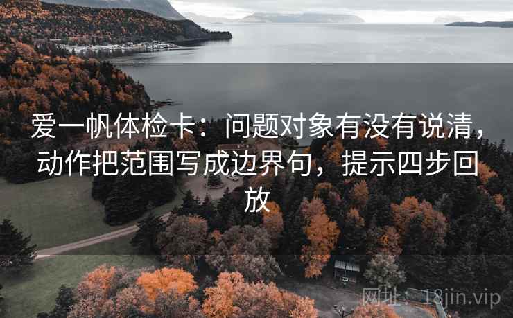 爱一帆体检卡：问题对象有没有说清，动作把范围写成边界句，提示四步回放